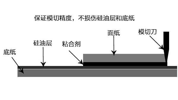 為什么模切打樣非做不可？